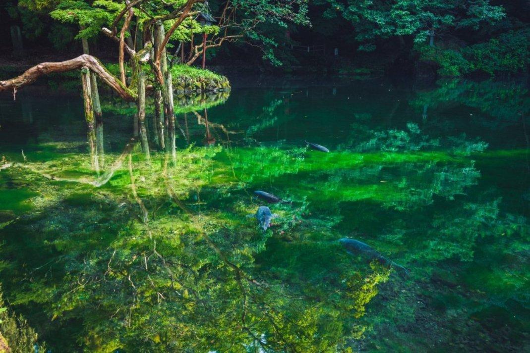 “听见”两会 | 海南省人大代表陈洋:借助环岛旅游公路流量红利 推进海南西部文旅产业发展