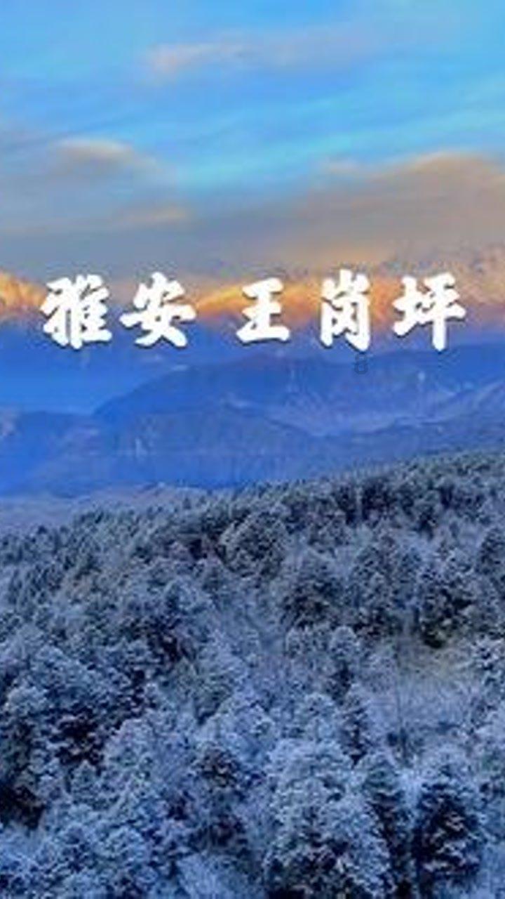 春联应该怎么贴游戏画面
