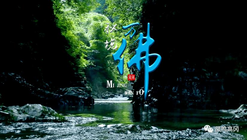 陕西大荔教育局回应“副校长被举报评职称造假”:取消参评资格