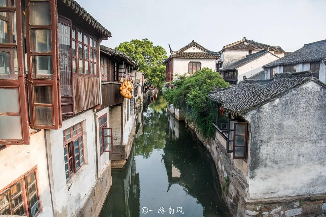植物大战僵尸20