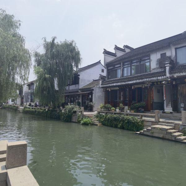 探索如何用羊肉调制饺子馅?,专业有问必答平台