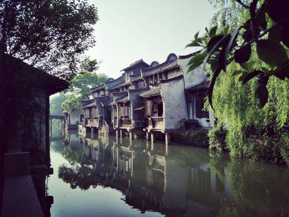 奔跑的兔子