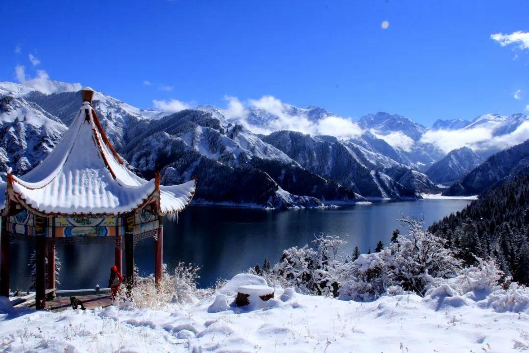 疯狂的小偷